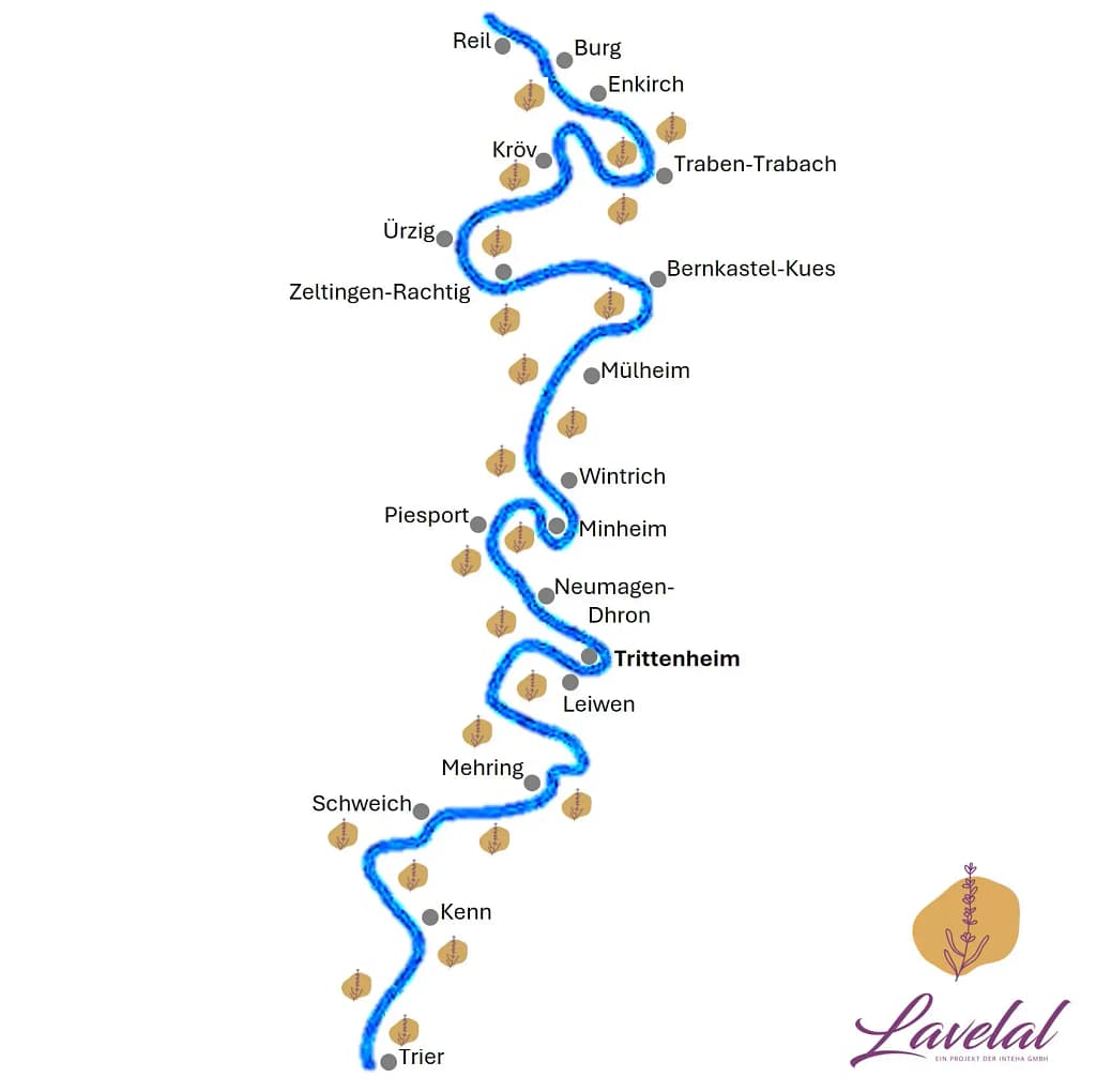 Stilisierte Karte der Mittelmosel mit eingezeichneten Lavendelstandorten entlang des Flussverlaufs – visualisierte Lila Lavendel Linie von LAVELAL für mehr Artenvielfalt.