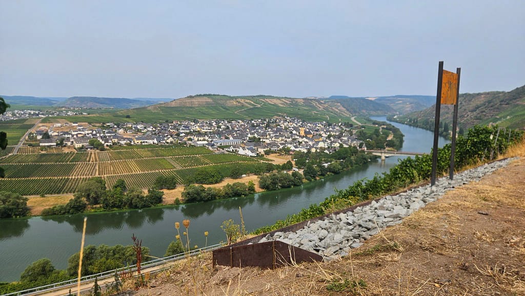 Mit Schiefer-Steinen gefüllter Streifen mit Metallumrandung am Lavendelfleck in der Apotheke, dahinter die Mosel und Weinberge.