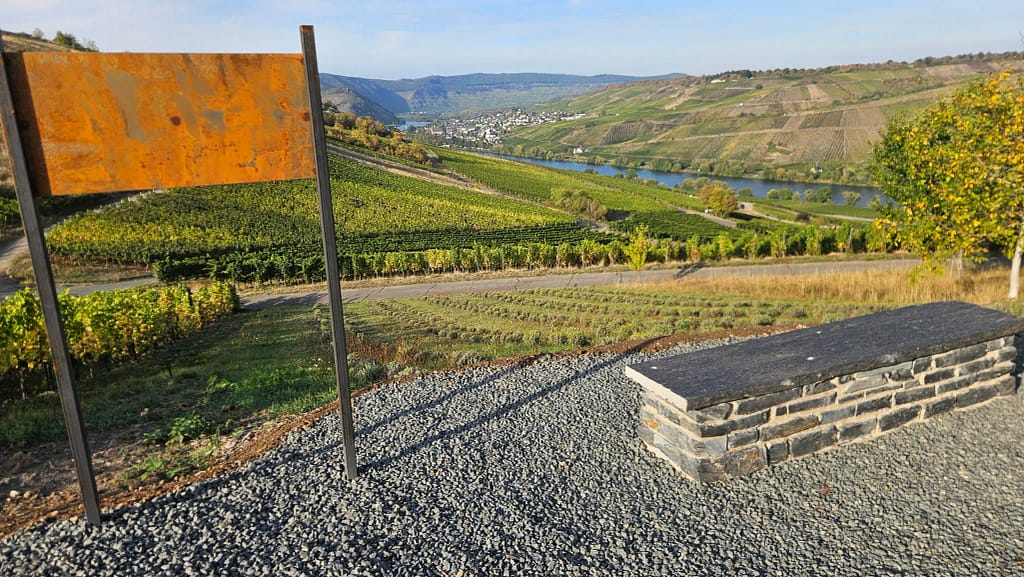 Steinbank am Lila Dreieck auf der Acht mit Blick über die Lavendelfläche zur Mosel.