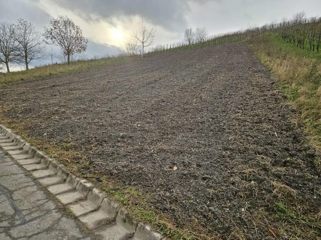 Umgegrabene Brache in Hanglage an einem trüben Tag – vorbereitete Fläche für die Pflanzung im Rahmen des LAVELAL-Naturschutzprojekts an der Mosel.